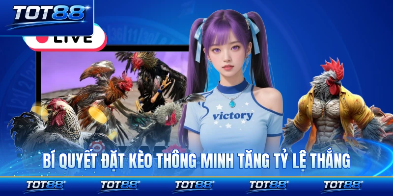 Bí quyết đặt kèo thông minh tăng tỷ lệ thắng