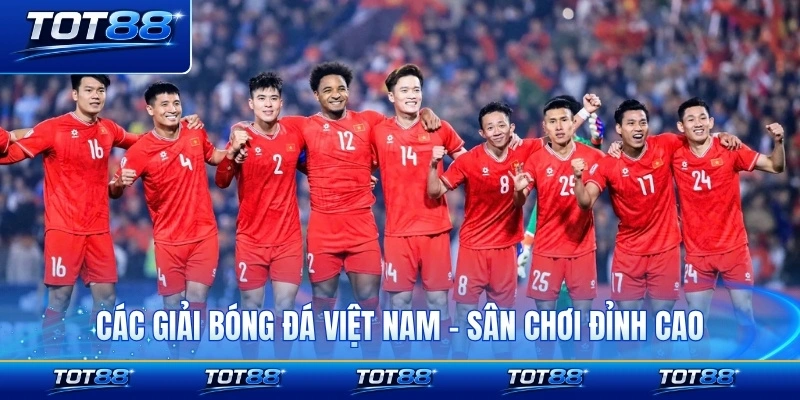 Các Giải Bóng Đá Việt Nam - Sân Chơi Đỉnh Cao Đáng Thử Sức