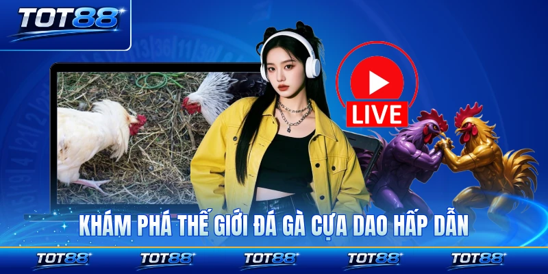 Khám phá thế giới đá gà cựa dao hấp dẫn tất cả kèo ở sàn nhanh