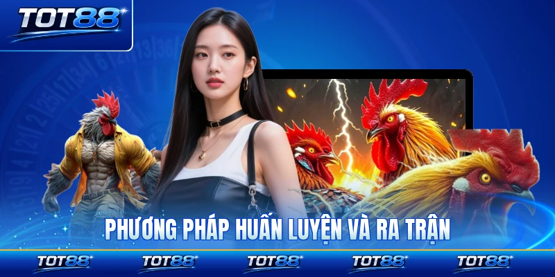 Phương pháp huấn luyện và ra trận chuyên nghiệp