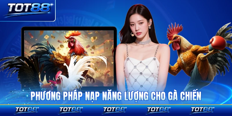 Phương pháp nạp năng lượng cho gà chiến