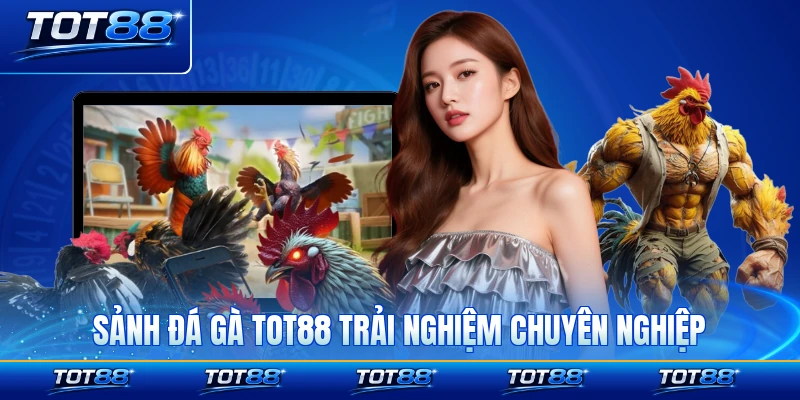 Sảnh đá gà TOT88 mang đến trải nghiệm cược chuyên nghiệp